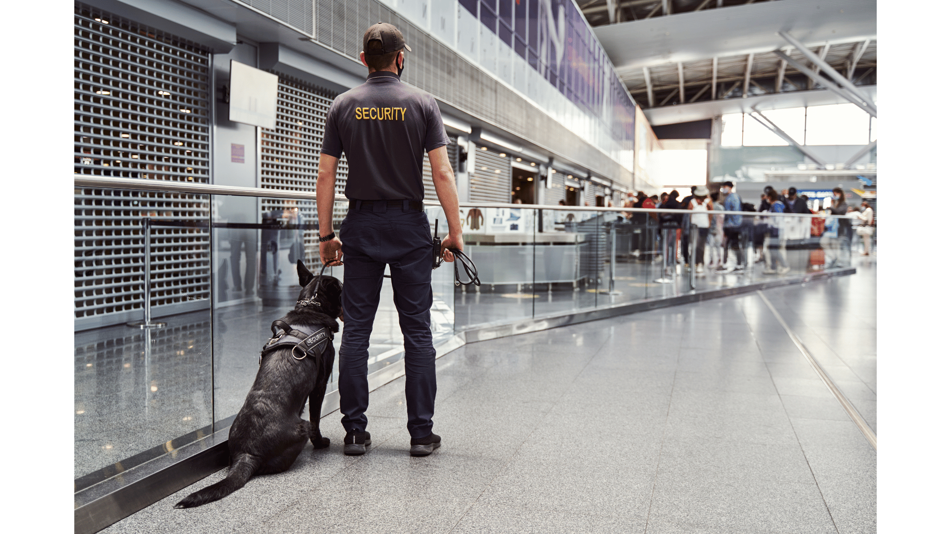 You are currently viewing Przemyt narkotyków (Art. 55 ustawy o przeciwdziałaniu narkomanii).