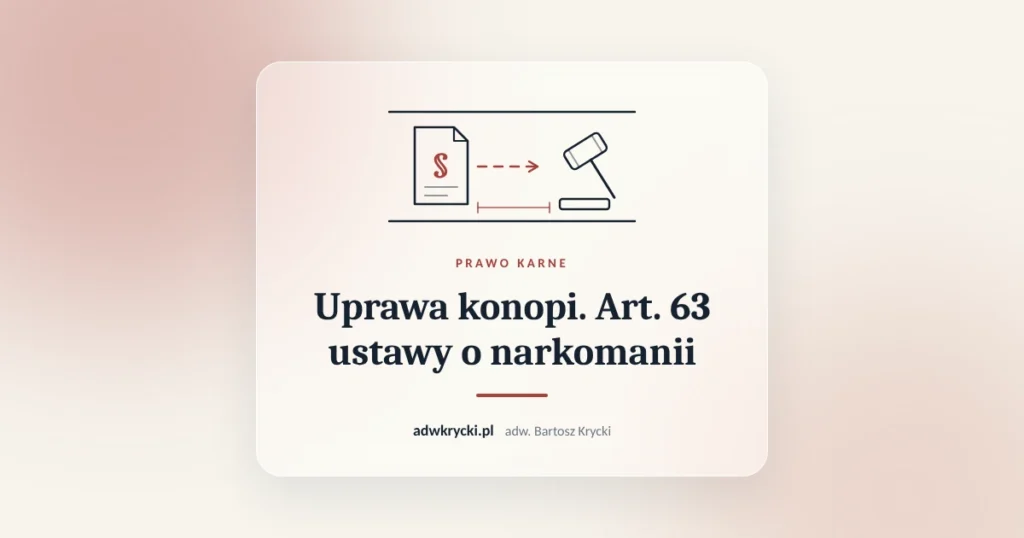 Uprawa konopi. Art. 63 ustawy o narkomanii. Prawo karne, adw. Bartosz Krycki